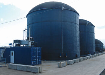 Bijak “Memakan” Bumi