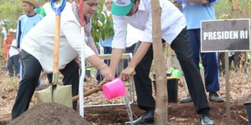 Jokowi Saksikan Kesepakatan Menteri LH dan 9 Ormas untuk Penyelamatan Bumi serta Lingkungan Hidup