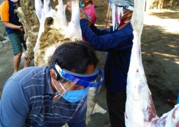 Warga LDII melaksanakan penyembelihan dan pengolahan hewan kurban dengan menerapkan protokol kesehatan, sebagai wujud kepedulian dan semangat berbagi kepada masyarakat. Foto: Dok. LINES