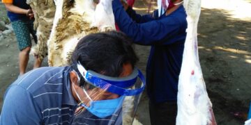 Warga LDII melaksanakan penyembelihan dan pengolahan hewan kurban dengan menerapkan protokol kesehatan sebagai wujud kepedulian dan semangat berbagi kepada masyarakat Foto Dok LINES