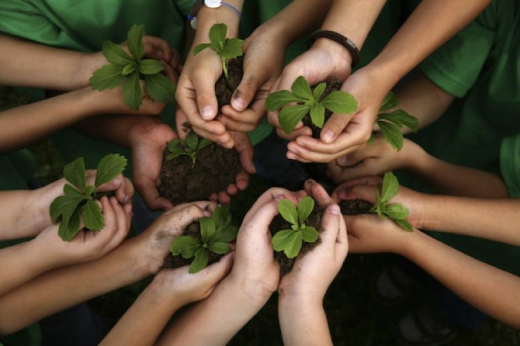 Merawat Hutan Menjaga Keseimbangan Alam