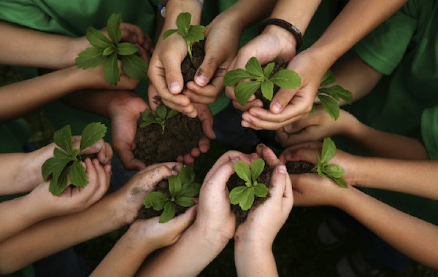 Merawat Hutan Menjaga Keseimbangan Alam