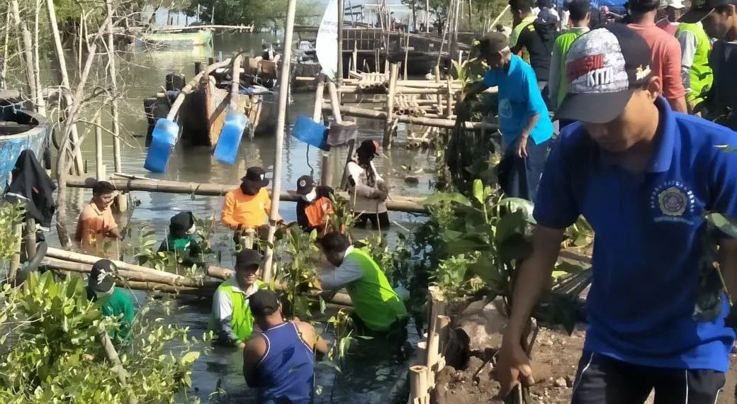GenerasiMudaLDIIDemakturutsertatanam2000Mangrove | LDII JAWA TIMUR Wakil Bupati Demak KH Ali Makhsun bersama Generasi Muda Penerus Daerah Demak Tim Garuda tanam 2000 mangrove di Desa Bedono Sayung Demak Jawa Tengah 13 Mei 2022 Dok Kontributor KIM Demak