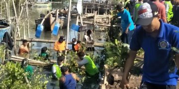 Wakil Bupati Demak KH Ali Makhsun bersama Generasi Muda Penerus Daerah Demak Tim Garuda tanam 2000 mangrove di Desa Bedono Sayung Demak Jawa Tengah 13 Mei 2022 Dok Kontributor KIM Demak