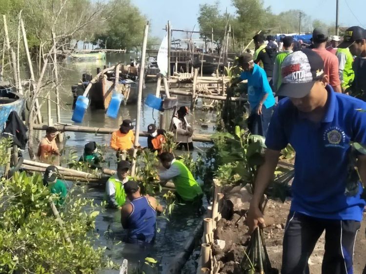 Wakil Bupati Demak KH Ali Makhsun bersama Generasi Muda Penerus Daerah Demak Tim Garuda tanam 2000 mangrove di Desa Bedono Sayung Demak Jawa Tengah 13 Mei 2022 Dok Kontributor KIM Demak