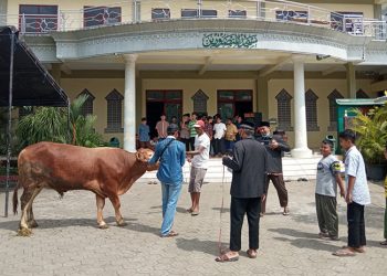 Pelaksanaan Kurban di Ponpes Minhajurrosyidin, Ambulu, Jember, Minggu (10/7). Dok: LDII Jember.