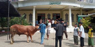 Pelaksanaan Kurban di Ponpes Minhajurrosyidin Ambulu Jember Minggu 107 Dok LDII Jember