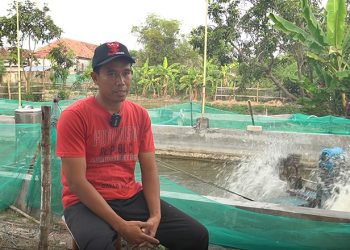 Ahmad Hamam, warga LDII Lamongan, budidaya udang vaname dengan memanfaatkan energi baru terbarukan (ETB). Dok: LINES.
