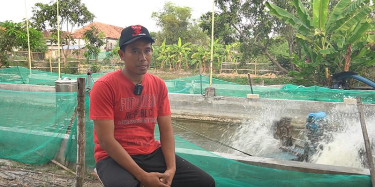 Ahmad Hamam, warga LDII Lamongan, budidaya udang vaname dengan memanfaatkan energi baru terbarukan (ETB). Dok: LINES.