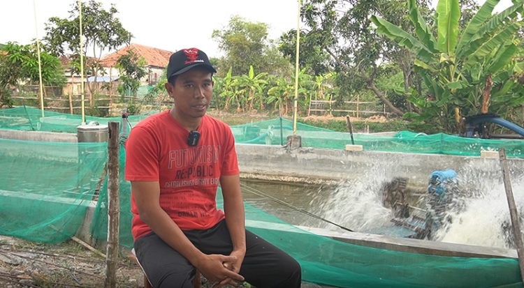 Ahmad Hamam warga LDII Lamongan budidaya udang vaname dengan memanfaatkan energi baru terbarukan ETB Dok LINES