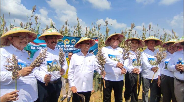 Menteri Desa dan Pembangunan Daerah Tertinggal Yandri Susanto menghadiri panen benih sorgum tersertifikasi di lahan Kelompok Tani Barokah Dukuh Gelam Desa Kedungwungu Kecamatan Todanan Kabupaten Blora pada Minggu pagi 115 Dok LINES