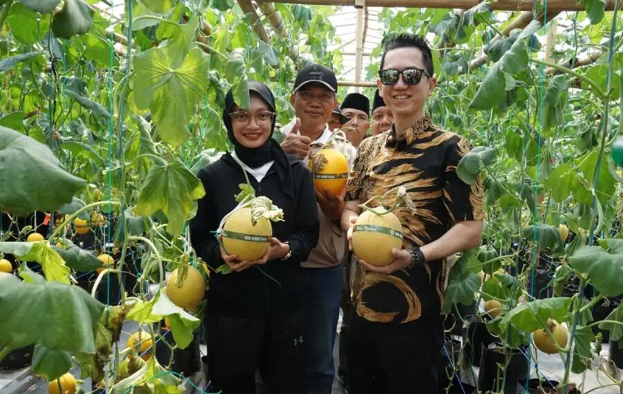 Wali Kota Kediri Vinanda Prameswati saat panen perdana buah melon di GEN SOBO Farm pada Sabtu 57 Dok LINES