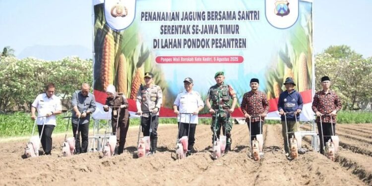Sejumlah pejabat, tokoh pesantren, dan perwakilan TNI-Polri memulai penanaman jagung serentak se-Jawa Timur di lahan Pondok Pesantren Wali Barokah, Kota Kediri, Senin (5/8/2025), mendukung program ketahanan pangan nasional. Dok: LINES.