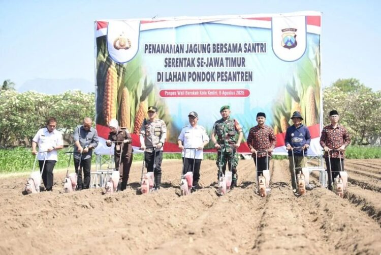 Sejumlah pejabat, tokoh pesantren, dan perwakilan TNI-Polri memulai penanaman jagung serentak se-Jawa Timur di lahan Pondok Pesantren Wali Barokah, Kota Kediri, Senin (5/8/2025), mendukung program ketahanan pangan nasional. Dok: LINES.