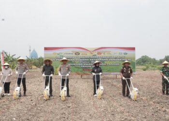 Forkopimda Kabupaten Sidoarjo melakukan penanaman jagung secara serentak pada kegiatan Tanam Jagung Serentak Kuartal IV di lahan pertanian Desa Sepanjang, Kecamatan Taman, Kabupaten Sidoarjo, Rabu (8/10). Kegiatan ini menjadi bagian dari dukungan lintas sektor terhadap program nasional ketahanan pangan sekaligus mewujudkan Asta Cita Presiden Prabowo Subianto di bidang swasembada pangan.