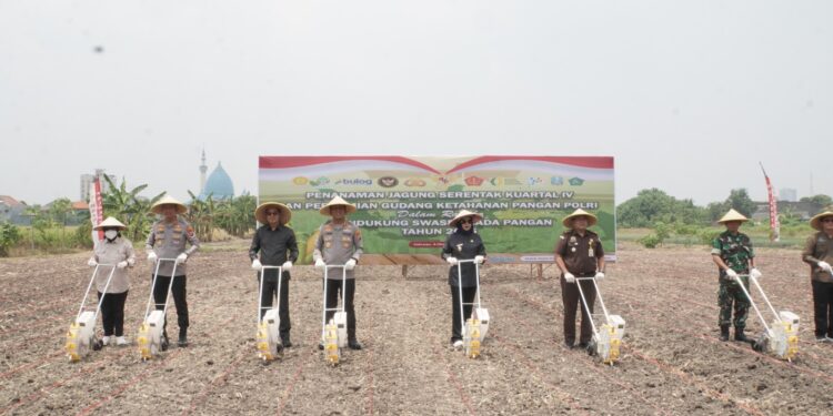 Forkopimda Kabupaten Sidoarjo melakukan penanaman jagung secara serentak pada kegiatan Tanam Jagung Serentak Kuartal IV di lahan pertanian Desa Sepanjang, Kecamatan Taman, Kabupaten Sidoarjo, Rabu (8/10). Kegiatan ini menjadi bagian dari dukungan lintas sektor terhadap program nasional ketahanan pangan sekaligus mewujudkan Asta Cita Presiden Prabowo Subianto di bidang swasembada pangan.