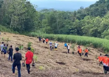 LDII Kabupaten Malang, Kelompok Masyarakat (Pokmas) Gundul Joyo, Senkom Mitra Polri, serta puluhan relawan dari berbagai wilayah menggelar penghijauan di lahan bekas tambang Gunung Gede, Kamis (13/11). Foto: Dok. LINES Malang.