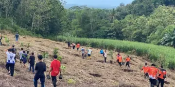 LDII Kabupaten Malang, Kelompok Masyarakat (Pokmas) Gundul Joyo, Senkom Mitra Polri, serta puluhan relawan dari berbagai wilayah menggelar penghijauan di lahan bekas tambang Gunung Gede, Kamis (13/11). Foto: Dok. LINES Malang.