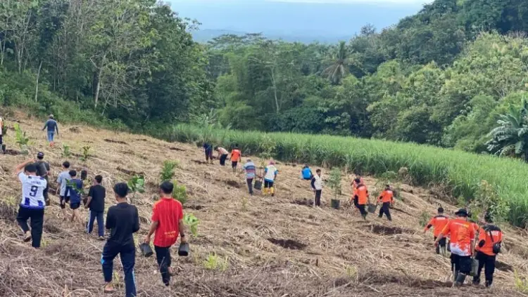LDII Kabupaten Malang, Kelompok Masyarakat (Pokmas) Gundul Joyo, Senkom Mitra Polri, serta puluhan relawan dari berbagai wilayah menggelar penghijauan di lahan bekas tambang Gunung Gede, Kamis (13/11). Foto: Dok. LINES Malang.