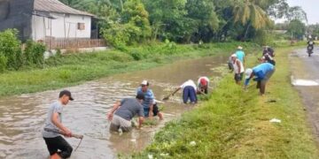 Pemerintah Desa Pegundan menginisiasi kerja bakti pembersihan lingkungan sebagai langkah antisipasi musim hujan Senin 512026 Kerja bakti difokuskan pada pembersihan bantaran sungai sebagai bagian utama sistem irigasi desa Foto Dok LINES Pemalang