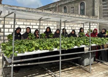Wanita LDII Kabupaten Lamongan menggelar pelatihan budidaya sayuran hidroponik yang dirangkai dengan panen perdana di Pondok Pesantren Sulthon Auliya’ (SAHA), Desa Pangkatrejo, Kecamatan Maduran, Minggu (25/1). Dok: LINES.