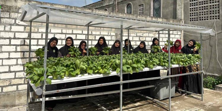 Wanita LDII Kabupaten Lamongan menggelar pelatihan budidaya sayuran hidroponik yang dirangkai dengan panen perdana di Pondok Pesantren Sulthon Auliya SAHA Desa Pangkatrejo Kecamatan Maduran Minggu 251 Dok LINES