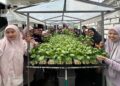 Santri Pondok Pesantren Sulthon Auliya (SAHA), Desa Pangkatrejo, Kecamatan Maduran, Lamongan, menunjukkan hasil panen sayuran hidroponik dalam program kemandirian pangan yang dikembangkan DPD LDII Kabupaten Lamongan melalui pelatihan dan demplot hidroponik, Minggu (25/1). Foto: Dok. LINES Lamongan