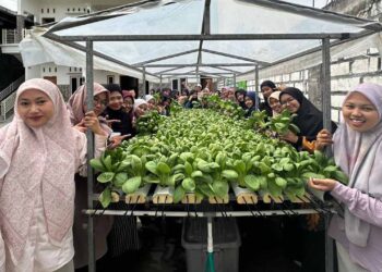 Santri Pondok Pesantren Sulthon Auliya SAHA Desa Pangkatrejo Kecamatan Maduran Lamongan menunjukkan hasil panen sayuran hidroponik dalam program kemandirian pangan yang dikembangkan DPD LDII Kabupaten Lamongan melalui pelatihan dan demplot hidroponik Minggu 251 Foto Dok LINES Lamongan