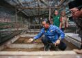 Direktur Jenderal Politik dan Pemerintahan Umum Polpum Kementerian Dalam Negeri Akmal Malik kunjungi program zero waste salah satunya budidaya maggot di Ponpes Minhaajurrosyidin Foto LINES