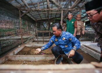 Direktur Jenderal Politik dan Pemerintahan Umum Polpum Kementerian Dalam Negeri Akmal Malik kunjungi program zero waste salah satunya budidaya maggot di Ponpes Minhaajurrosyidin Foto LINES