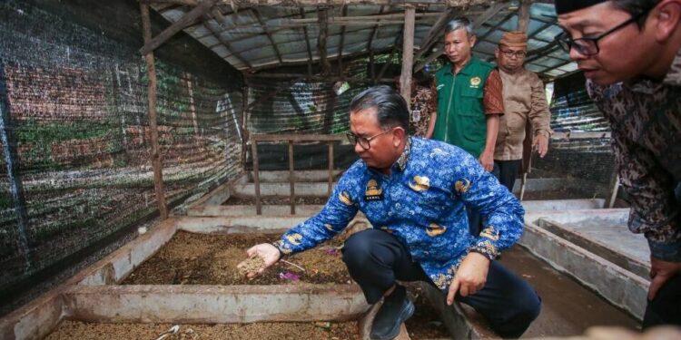 Direktur Jenderal Politik dan Pemerintahan Umum Polpum Kementerian Dalam Negeri Akmal Malik kunjungi program zero waste salah satunya budidaya maggot di Ponpes Minhaajurrosyidin Foto LINES