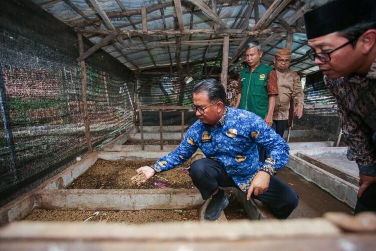 Direktur Jenderal Politik dan Pemerintahan Umum Polpum Kementerian Dalam Negeri Akmal Malik kunjungi program zero waste salah satunya budidaya maggot di Ponpes Minhaajurrosyidin Foto LINES