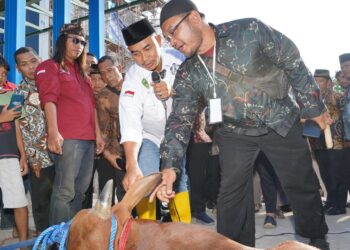 Juru Sembelih Halal Juleha bersama DPW LDII Jawa Timur memberikan sosialisasi kurban sehat dan halal Foto LINES Jatim