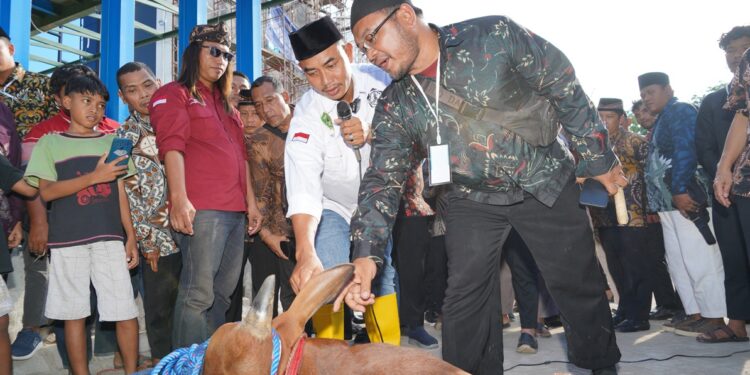 kurbanwargaldii2026 | LDII JAWA TIMUR Juru Sembelih Halal Juleha bersama DPW LDII Jawa Timur memberikan sosialisasi kurban sehat dan halal Foto LINES Jatim