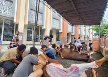 Warga LDII Medaeng menyembelih hewan kurban di halaman Masjid Baiturrohim, Sidoarjo, Rabu (27/5). Foto: LINES Sidoarjo