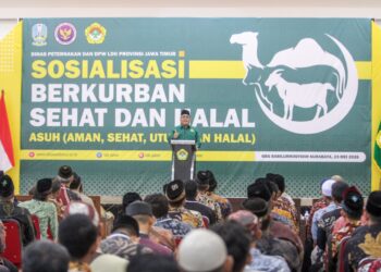 Dewan Pimpinan Wilayah DPW LDII Jawa Timur menggelar kegiatan Sosialisasi Berkurban Sehat dan Halal dengan mengusung tema ASUH Aman Sehat Utuh dan Halal pada Sabtu 235 di Gedung Serba Guna GSG Sabilurrosyiddin Surabaya Dok LINES Jatim