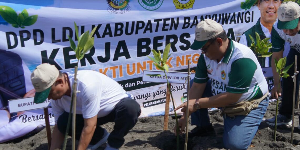 mangrove dan tukik 6 | LDII JAWA TIMUR Ketua DPW LDII Jawa Timur KH Amrodji Konawi dan Asisten II Sekretariat Daerah Kabupaten Banyuwangi Bidang Perekonomian dan Pembangunan Suratno menanam pohon mangrove di area Pantai Cemara Minggu 2382026 pagi Dok LINES Jatim