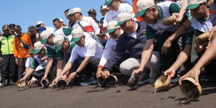 Pelepasan 50 tukik di Pantai Cemara Banyuwangi Minggu 2382026 pagi Dok LINES Jatim