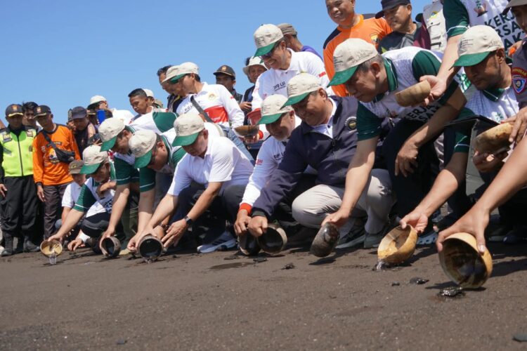 mui jatim lepas tukik dan tanam mangrove 2 | LDII JAWA TIMUR Pelepasan 50 tukik di Pantai Cemara Banyuwangi Minggu 2382026 pagi Dok LINES Jatim